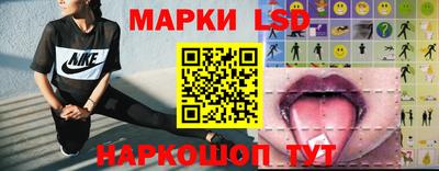 индика Ирбит