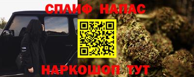 индика Ирбит