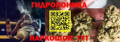 индика Ирбит