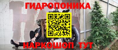прущая мука Камышлов