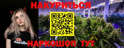 индика Ирбит