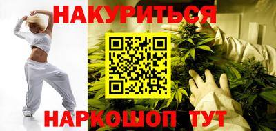 индика Ирбит