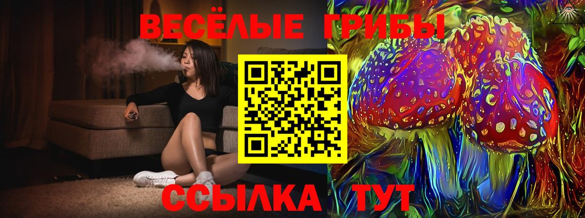 Псилоцибиновые грибы ЛСД Лесозаводск