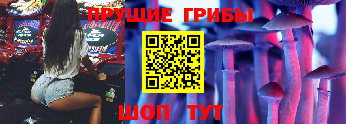 Лесозаводск  Галлюциногенные грибы Psilocybine cubensis  Вход с VPN 